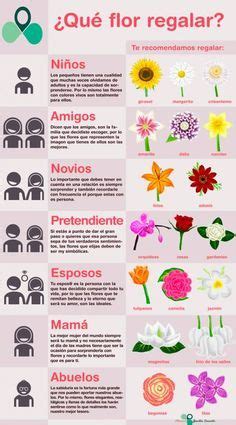 TIPO DE FLORES PARA REGALAR | Nombres de flores, Lenguaje de las flores ...