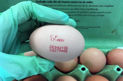 Tipo de huevos y su etiquetado: Los tipos de huevos según la forma en ...