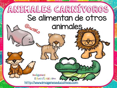 Tipos de animales, Animales carnivoros, Clasificación de animales