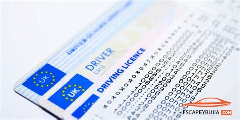 Tipos de Carnet de Conducir: Cuáles son y requisitos ...
