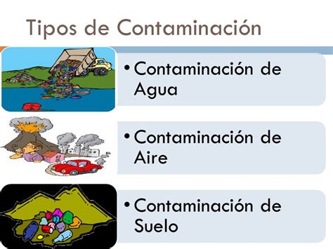 Tipos De Contaminacion Ambiental   SEONegativo.com