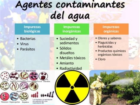 TIPOS DE CONTAMINANTES ACUÁTICOS | CONTAMINACIÓN HÍDRICA