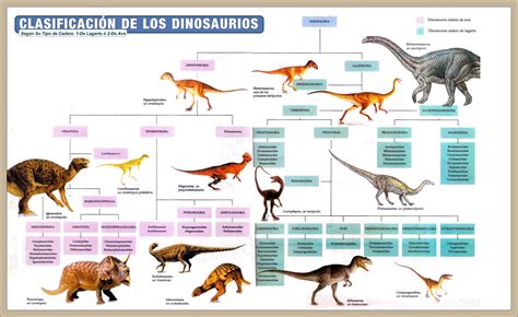 Tipos de Dinosaurios Caracteristicas, Clasificación , Nombres