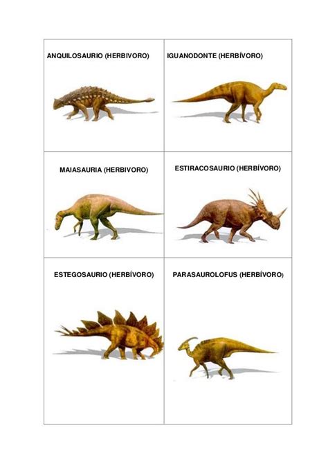 Tipos De Dinosaurios Con Nombres   SEONegativo.com