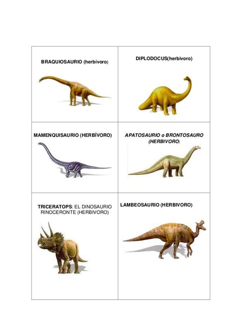Tipos De Dinosaurios Con Nombres   SEONegativo.com