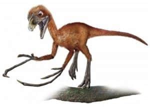 Tipos de dinosaurios con plumas – Dinosaurios