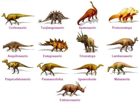 Tipos de dinosaurios | Dinosaurios | Tipos de dinosaurios, Nombres de ...