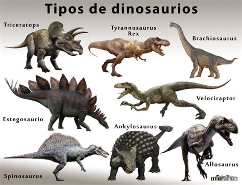 Tipos de dinosaurios | Extinct Animals