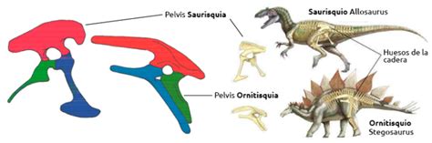 Tipos de dinosaurios, géneros y especies | www.dinosaurios ...