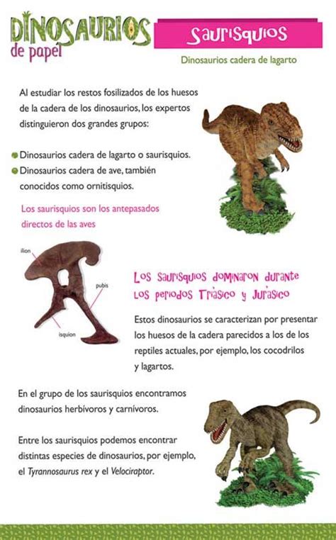 TIPOS DE DINOSAURIOS  información  | actividades ...