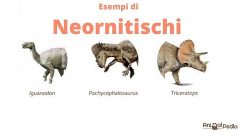Tipos de dinosaurios   Nombres, características y fotos ️ ...