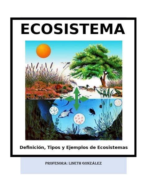 Tipos de Ecosistemas by lyneth2891   Issuu