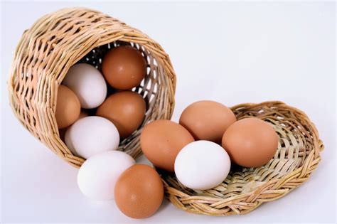 Tipos de huevos de gallinas ponedoras ¿Como diferenciarlos?
