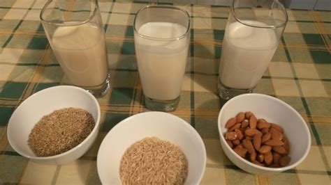 Tipos de leches vegetales: ¿Cuál es mejor para tu salud?