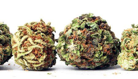 Tipos de Marihuana