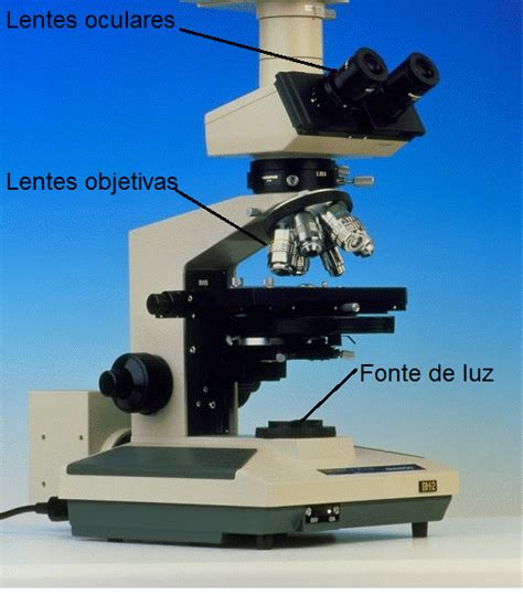 Tipos de microscópios   Biologia Enem   Blog do Enem