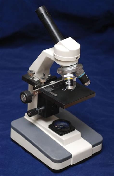 Tipos de Microscopios