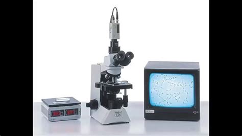 Tipos de Microscopios   YouTube