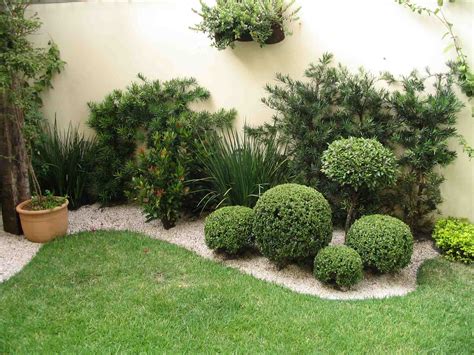 Tipos de plantas para jardim externo | Decorando Casas
