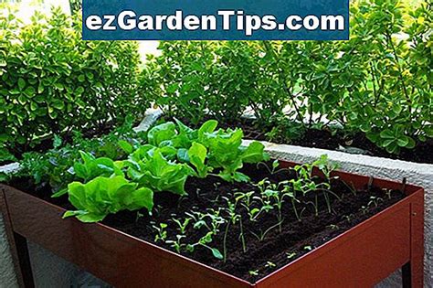 Tipos de suelos africanos  Tips Jardineros   Es.ezGardenTips.com