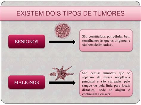 Tipos De Tumores Malignos   SEONegativo.com