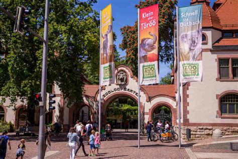 Tipp für die Sommerferien: Besucht unbedingt den Zoo in Leipzig! | TAG24