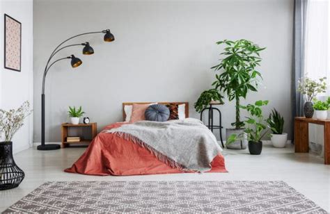 Tips para decorar tu casa con flores y plantas   BlogHogar.com