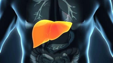 Tips para desintoxicar el hígado