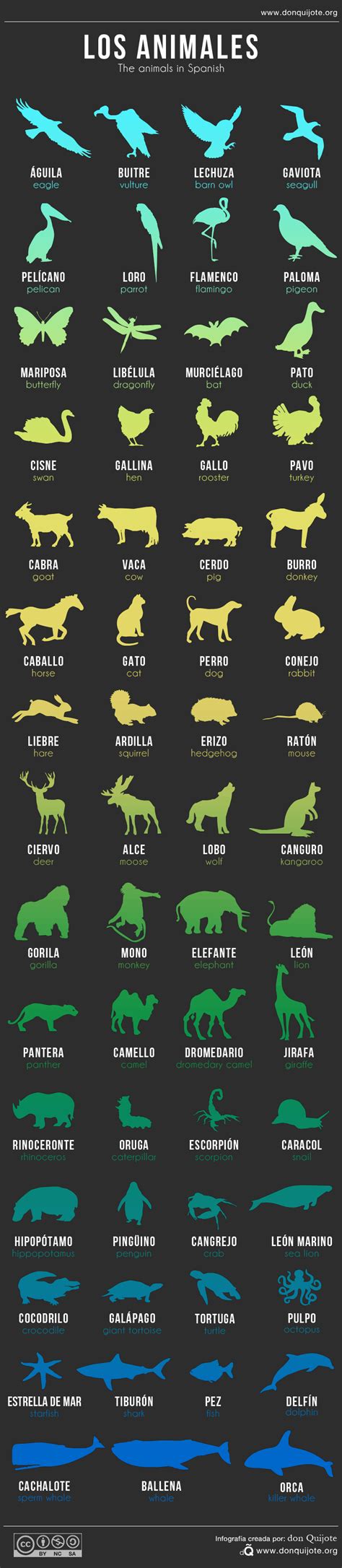 Tips to Translate Names of Animals from English to Spanish ...