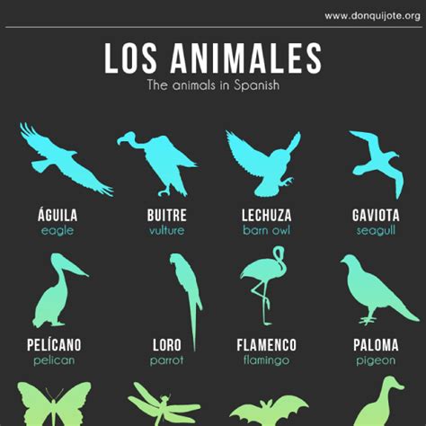 Tips to Translate Names of Animals from English to Spanish ...