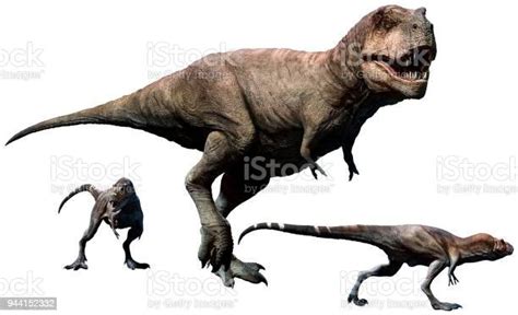 Tiranosaurio Rex Con Descendencia Foto de stock y más banco de imágenes ...