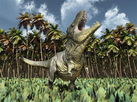 Tiranosaurio Rex Del Dinosaurio En La Selva Tropical Stock de ...