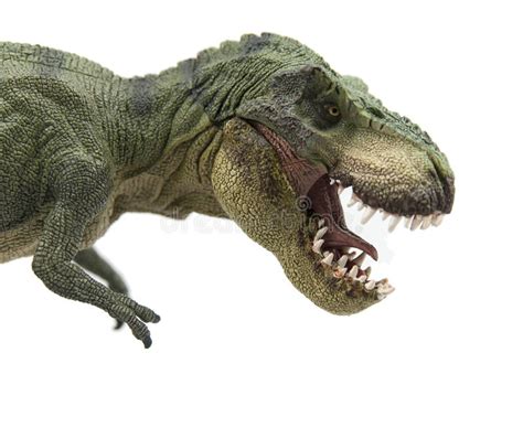 Tiranosaurio Rex foto de archivo. Imagen de sico, despredador   43783574