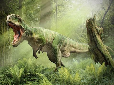 Tiranosaurio Rex   Fotos, Hechos y Historia | Dinosaurios