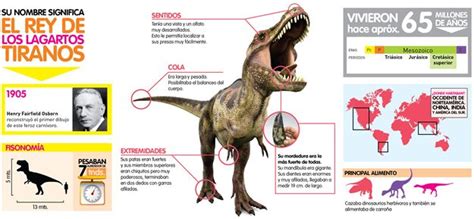 tiranosaurio rex infografia thumb.jpg  625×289  | Infografias para ...