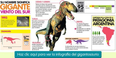 tiranosaurio rex infografia thumb.jpg  625×289  | Tiranosaurio ...
