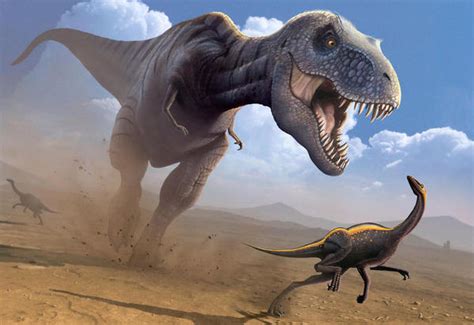 Tiranosaurio Rex » Información Completa, Caracteristicas, Tipos ...