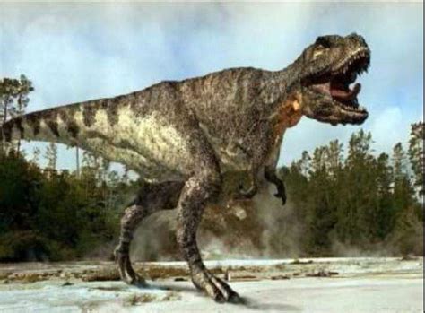 Tiranosaurio Rex   T  rex  | Wiki | Amino Paleontología Amino