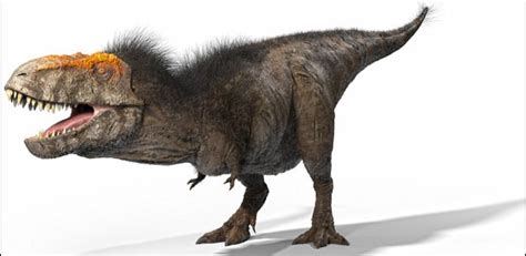 Tiranosaurio Rex | Wiki Reino Animalia | Fandom