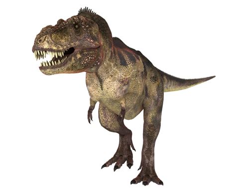 Tiranossauro Rex   Dinossauros   Animais   InfoEscola