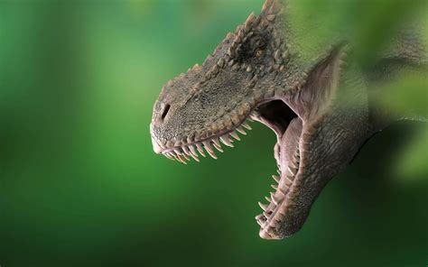 Tiranossauro rex tinha quase um ar condicionado no crânio ...