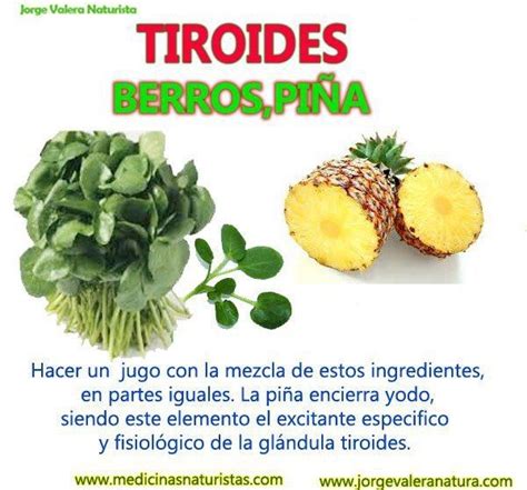 Tiroides | Hipotiroidismo, Tiroides y Dieta para ...