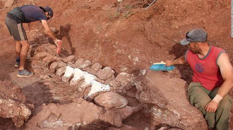 Titanosaurio: fósiles de dinosaurios encontrados en Argentina podrían ...