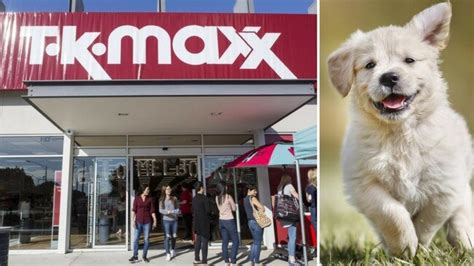 TK MAXX Northland opening: new Melbourne store promises petting zoo ...