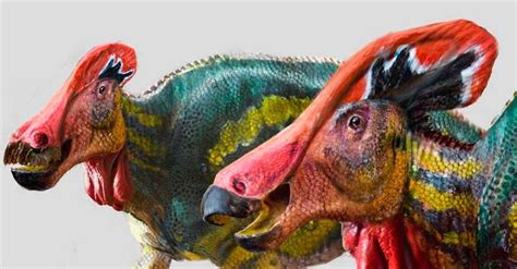 Tlatolophus galorum, la nueva especie de dinosaurio ...