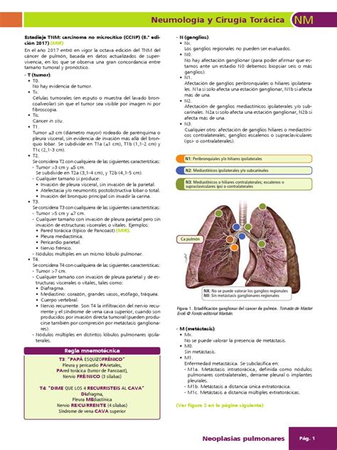 TNM cáncer de pulmón actualizado | Metástasis | Cáncer de ...