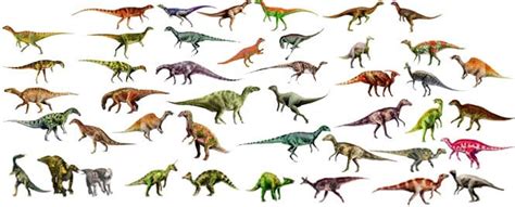 Todas Las Clases De Dinosaurios Que Existieron   Variaciones Clase
