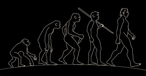 Todo sobre Evolución humana: el origen del hombre, sus ...