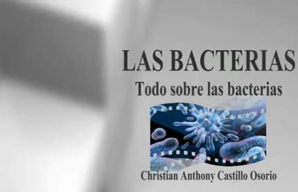 Todo sobre las bacterias   CNB