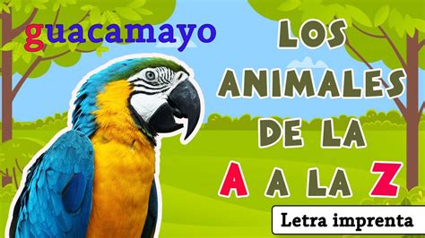 Todos Los Animales De La A a la Z | Letra Imprenta   YouTube